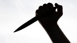 Житель Петровского округа зарезал инвалида кухонным ножом